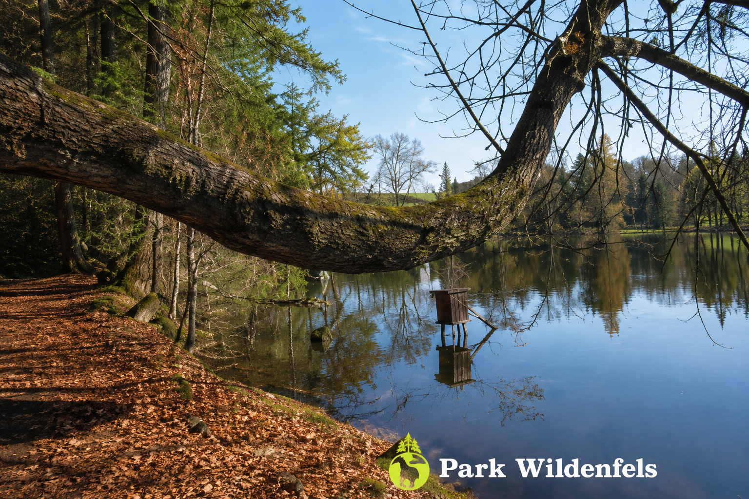 Ansichtskarte Park Wildenfels